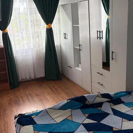 Ioana House Appartamento